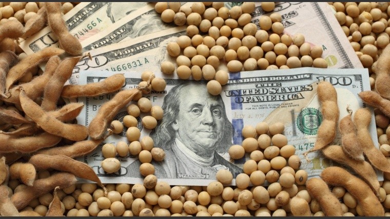 Dólar y retenciones. ¿Qué pasará en el segundo semestre?