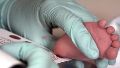 Este sábado, como cada 28 de junio, se conmemoró el Día Internacional de la Pesquisa Neonatal.
