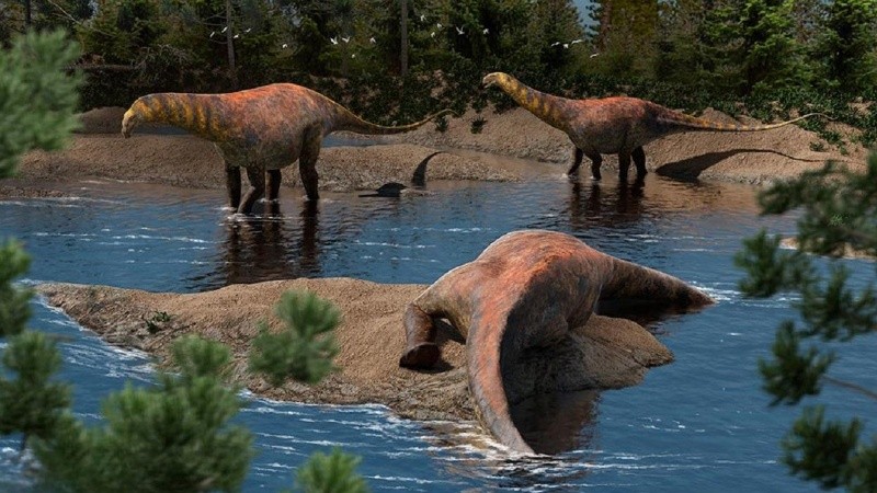 Reconstrucción de Astigmasaura genuflexa.