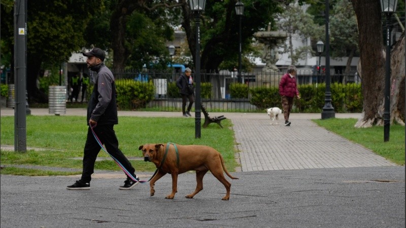 El frío afloja un poco en Rosario y la región.