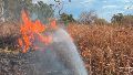 Nuevo incendio en el Bosque de los Constituyentes, en plenas vacaciones de invierno