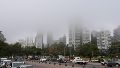 El clima en Rosario: sábado fresco, con niebla y probable lluvia matutina