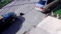 Indignación por un taxista que atropelló y mató a un perro querido del barrio