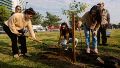 En el primer semestre, la ciudad ya sumó más de 5.000 árboles nativos en diferentes barrios y parques